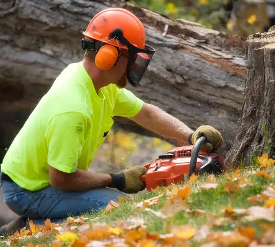 tree services Marston